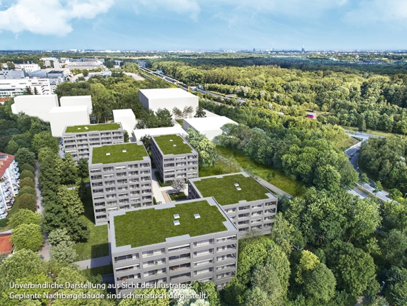 BV Gerberau startet